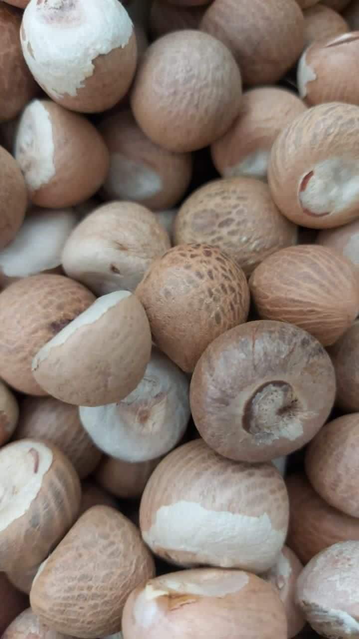 Nut